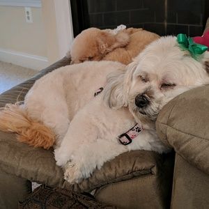 Meet your Posher, Andrea